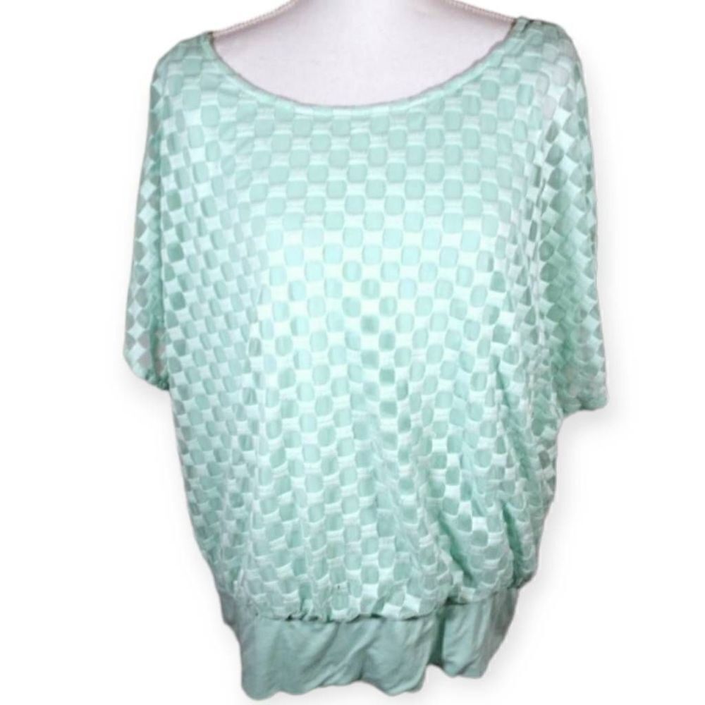 ABG MINT BLOUSE SZ.2X EUC.  GORGEOUS BLOUSE IN EXCELLENT USED CONDITION.